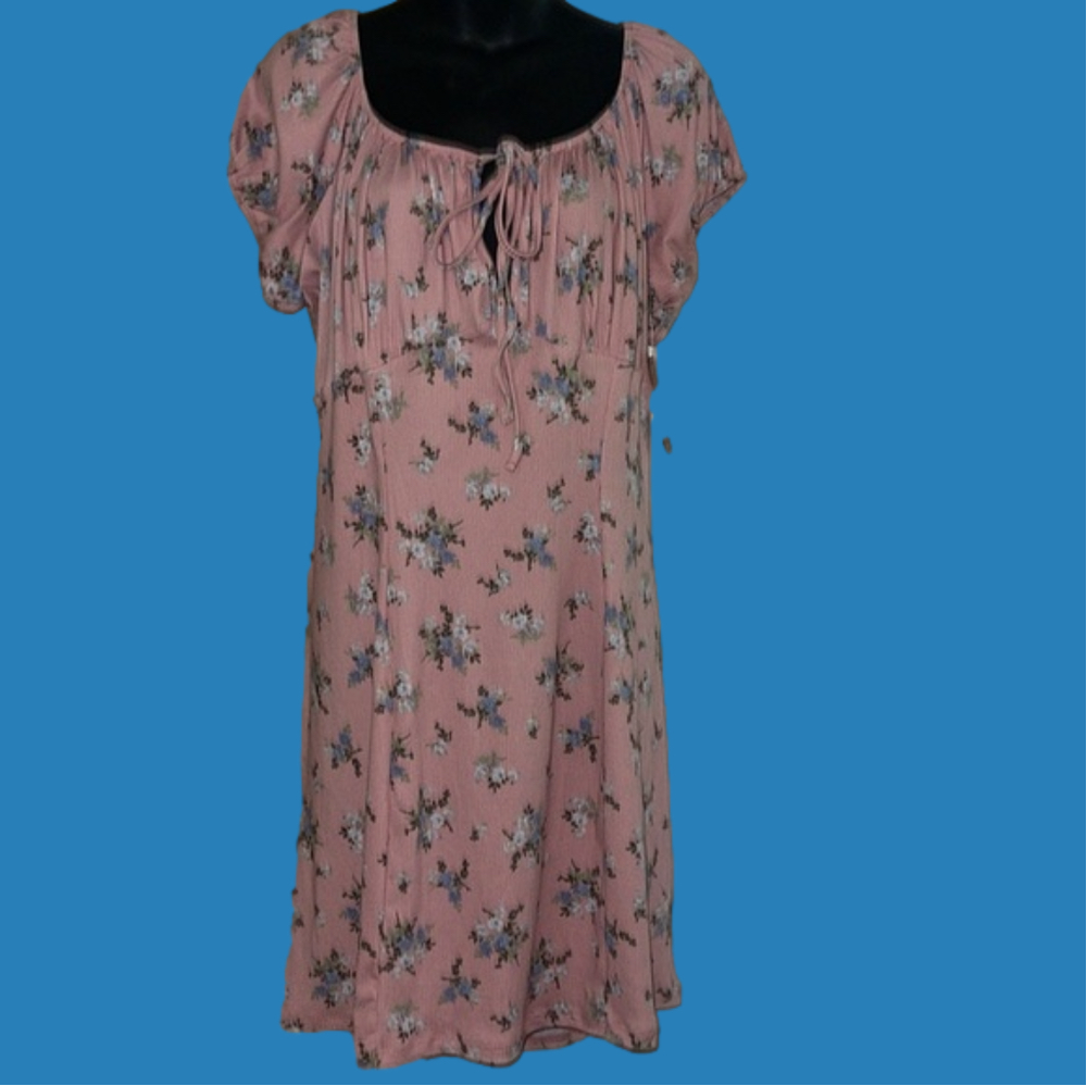 NWT soft No Comment plus feminine dress